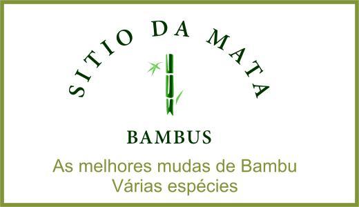 Sitio da Mata - Cerca viva com bambu